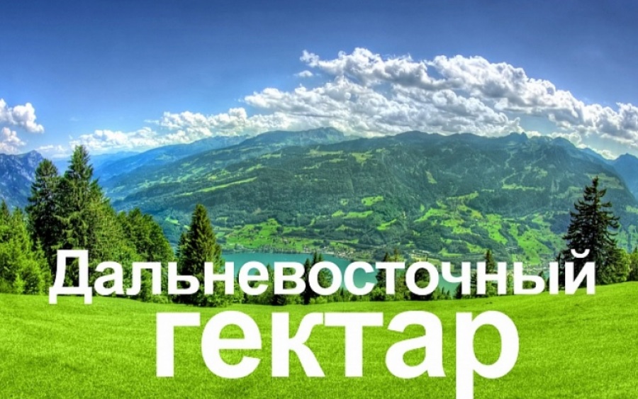 Как обустроить "дальневосточный гектар"? 12 типовых бизнес-решений разработали в Хабаровском крае