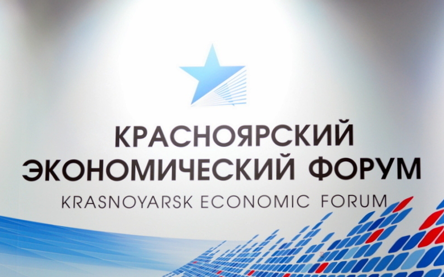 Светлана Герасимова, эксперт по устойчивому развитию и КСО , представила МИРБИС на Красноярском экономическом форуме