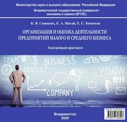 Организация и оценка деятельности предприятий малого и среднего бизнеса