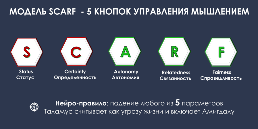 Модель SCARF. Пять кнопок управления мышлением
