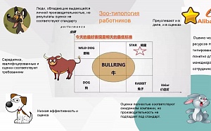 Наталья Краснова рассказала, зачем в компании Alibaba делят сотрудников на собак, койотов, быков и зайцев